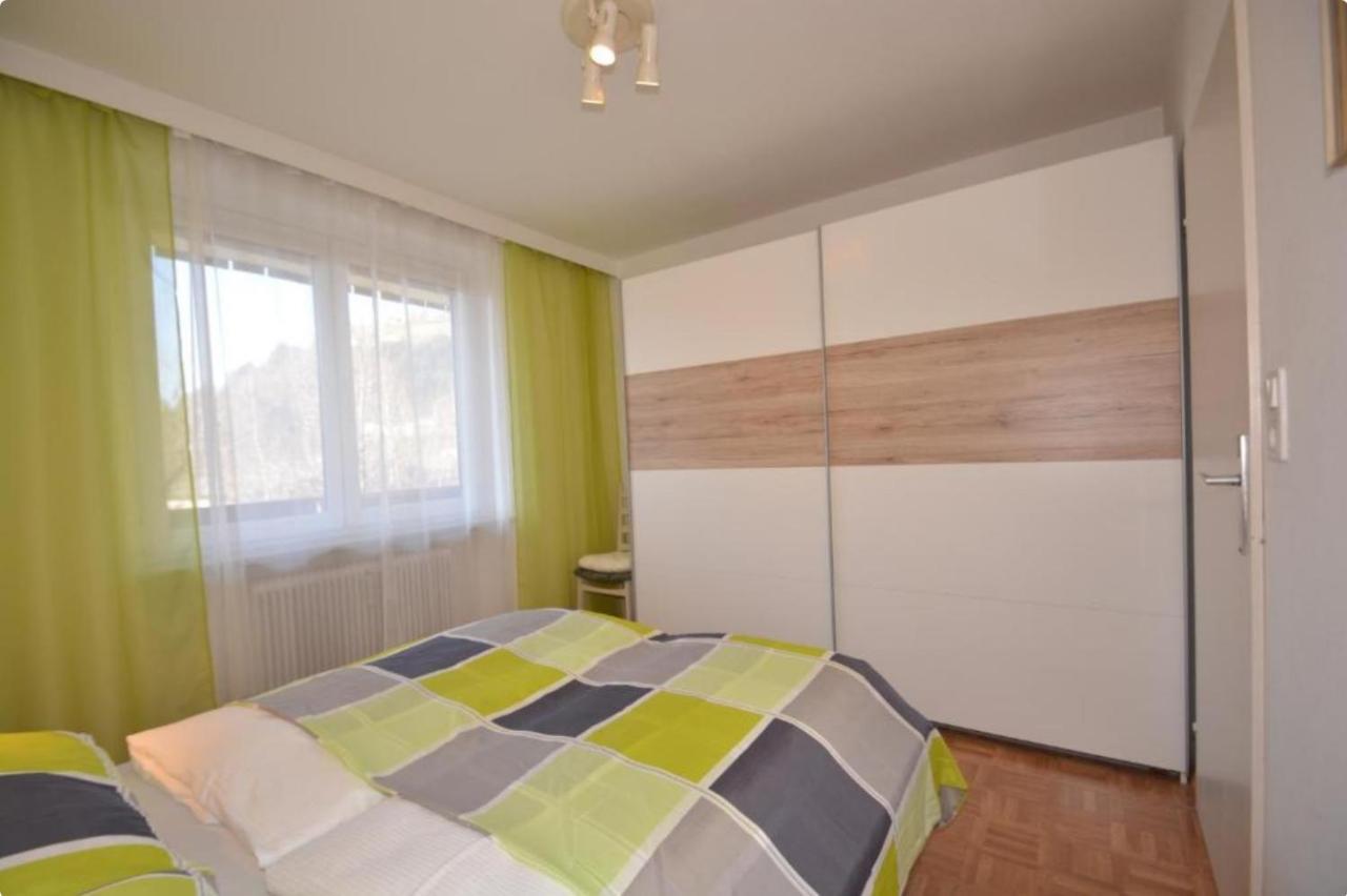 Alpine Lodge Apartment 滨湖采尔 外观 照片